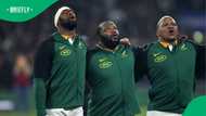Springboks on the brink: Nick Mallett reveals why rivals struggle