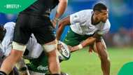 Stormers secure Haashim Pead move after weeks of uncertainty over Lions star