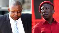 Julius Malema advocates for controversial Judge John Hlophe as the country's next Chief Justice