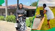 "They're just sleeping": Woman confronts deceased at graves for not doing much for her, SA's amused