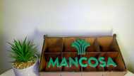 MANCOSA’s courses, fees, connect, application, prospectus, contact details