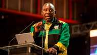 President Cyril Ramaphosa condemns the DA for seeking foreign election observers