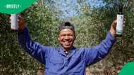 "Very Proud": SA's olive oil beats global rivals, secures top spot at international awards