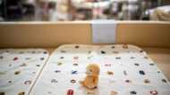 Japan's baby hatch hospital offers mothers 'last resort'