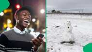 From scorching heat to heavy snowfall; South Africa's weather patterns leave citizens amused