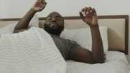 Dream job indeed: Company advertises vacancies for sleeping role, pay is R20k