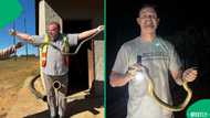 A long snake in a Limpopo home's roof terrified a family as the rescue team stepped in