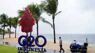 G20 ministers meet in Bali with Ukraine top of agenda