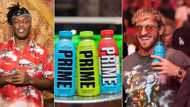 Logan Paul and KSI's energy drink at Checkers to go from R400 to less than R40, Mzansi fans of Youtbers brag about their patience
