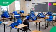 North West High Court rules that English-speaking children remain at Afrikaans-only school