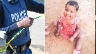 21-Month-old missing girl found dead in bushes by Limpopo police, SA horrified