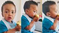 “The cutest”: Mzansi warmed by video of adorable baby eating apple from daddy