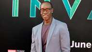 Don Cheadle's net worth: How much is the Marvel actor worth?