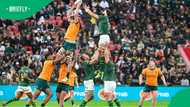Springboks vs Wallabies in Perth: head-to-head stats show balanced record ahead of 27 September test