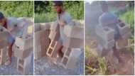 Man shows great strength as he carries 6 bricks at once, video sparks reactions