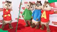 Alvin and the Chipmunks in order: The exact sequence to follow the story