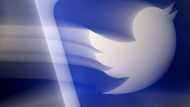 Twitter takeover raises fears of climate misinfo surge