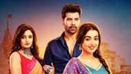 Radha Mohan on Zee World: cast, plot summary, full story, episodes