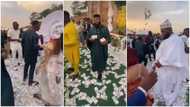 Video shows men with bundles of cash 'raining' money on party guests