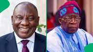 "We're keeping our Cupcake": Nigerian woman humorously proposes a swap between Ramaphosa and Tinubu