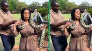 Gauteng woman's snake encounter at animal sanctuary goes TikTok viral