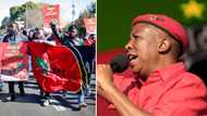 EFF turns 9: 5 Most memorable times the EFF protested for change in South Africa