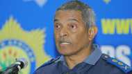 Top cop fired and DA welcomes dismissal, calls for SAPS stability