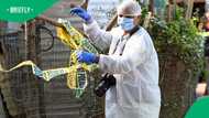 KwaZulu-Natal boyfriend protects pregnant girlfriend after fatally stabbing robber
