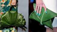 ‘Fashion or farming’: Humorous reactions to designer bags made of leaves