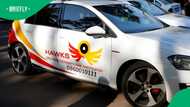 Soweto man arrested for global sex extortion network targeting 52 underage boys
