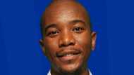 Mmusi Maimane claps-back at man who trolled his organisation's advert, calling him prophet of doom pesticide