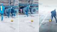 Man's co-workers prank him with fake snake tied to his leg at work, footage leaves Mzansi in stitches