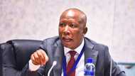 Malema doesn't have time for lazy EFF officials, threatens to remove them