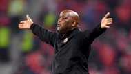 EFF’s Mbuyiseni Ndlozi slams Sundowns fans, backs Al Ahly coach Pitso Mosimane