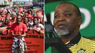 ANC forced to leave Cosatu conference, Gwede Mantashe slams delegates who “served divorce papers”