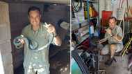 “Running for the hills”: Nick Evans catches 3 black mambas disturbed by floods