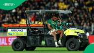 Springbok star Fassi faces months out after surgery
