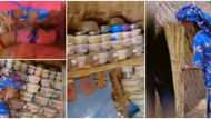 Inside video of hut with big colourful bed and well stacked iron plates