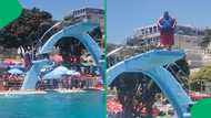 "Comfortable and confident": Onlookers cheer for man doing belly flop at swimming pool