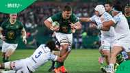 Springboks overcome stubborn Italy in pulsating Test opener