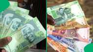 Rhino gone cartoonish: Fake R10 note leaves SA amused