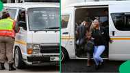 "Kodwa, Jesu!": Viral video shows cops impounding taxi with 37 passengers, Mzansi bewildered