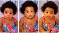 Adorable baby girl with thick natural hair flaunts it on TikTok, video melts hearts: "Little angel"
