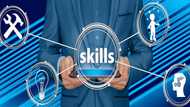 Detailed 2019 critical skills list in South Africa