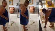 Mzansi side-eyes Gogo Maweni's Valentine's Day, Twitter clip of sangoma following trail of R100 notes and roses goes viral