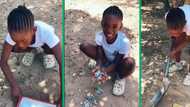 TikTok video of girl building pool for doll leaves South Africa convinced she's a future engineer