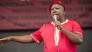 EFF leader Julius Malema condemns EFF in Eastern Cape for lack of female representation in the province