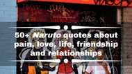 50+ Naruto quotes about pain, love, life, friendship and relationships