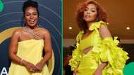 Nomzamo Mbatha makes appearance at 'Queen Modjaji' premiere, Mzansi reacts: "She looks gorgeous"