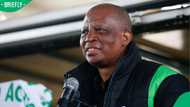 Herman Mashaba says youth have nothing to celebrate on Youth Day, blames government for failing them